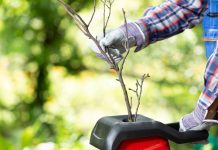 Zöldebb kert az ágaprító okos megoldásaival