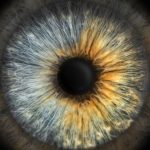 Íriszdiagnosztika titkai – mit árul el a szem a szervezet állapotáról?