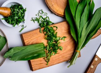 Elindult a medvehagyma szezon – így készíts belőle isteni pestót!